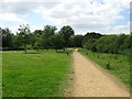 Track in Milton Country Park in CB5 8TB