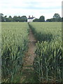 Path across wheat field to house on lane corner in IP19 0HL