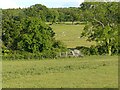 View to the south east from Bryn Celli Ddu in LL60 6EL
