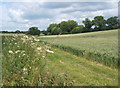 Permissive footpath to lane corner northwest of South Elmham Hall in St. Cross, South Elmham