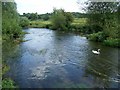 River Avon, Amesbury in SP4 7AD