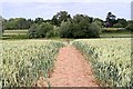 Path to Earl's Croome in WR8 9DH