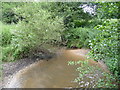 Oxney Stream in GU35 9HE