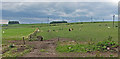 Farmland west of Upper Criggie in AB39 2XY