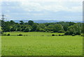 2008 : Farmland near Ganbrook in SN12 8NR