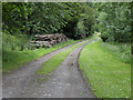 Roadside Logpile at the swap in KY3 0SA