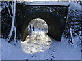 Footpath under a bridge of the Alban Way in winter in AL1 1JP