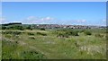 View Across Lodmoor to Southdown in DT3 6HY