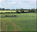 Farmland near Gilmorton in LE17 5PH