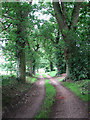 Shady track to St Giles' church in NR11 7ES