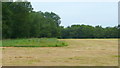 Hay harvest and Alderhanger Wood in B94 5AX
