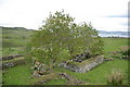Blackhouse ruins, Galtrigill in IV55 8ZZ