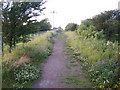Public footpath from Rainton Meadows in DH4 6PB