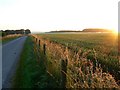 Daybreak over farmland near Winterbourne Stoke, Wiltshire in SP3 4TY