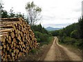 Log pile in PH15 2EQ