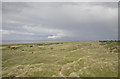 Ainsdale dunes and the velvet trail in Duke's Ward