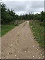 Entry gate to Corrennie Forest (unlocked am) in AB51 7SB