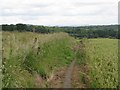 Footpath at West Craigs in EH12 8FE