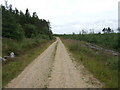 Forest road in AB33 8EA