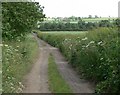 Track near Upper Bruntingthorpe in LE17 5RE