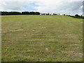 Mown field near Blaen-y-cwm farm in LD7 1SF