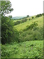 Glyndwr's Way footpath above Llangunllo in LD7 1SS