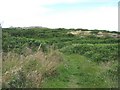 Footpath to Porth y Felin in LL65 1DH