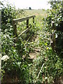 Footpath Bridge in Water Newton