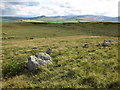Moorland near Llyn Alwen in Cerrigydrudion Community