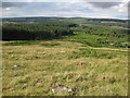 Moorland and forest above Llyn Alwen in Cerrigydrudion Community
