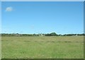 View across a hayfield towards Nant Newydd farmhouse in LL77 7EY