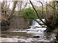 Bridge and weir Wepre Park in CH5 4BT