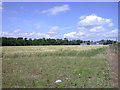 Fields north of the Port Way in CB23 7EW