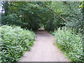 Footpath in the woods in SW15 3DX