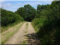 Track, South of Ebernoe Common in Ebernoe