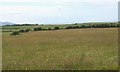 View across farmland with Holyhead Mountain in the background in LL71 7DD