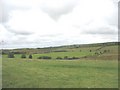 View SW towards the headwaters of the Alaw Valley in Llannerch-y-Medd Community