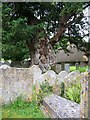 Churchyard, St Peter's Church in SP11 6ST