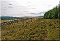 Dyke and fence at the edge of the forest in FK15 9LL