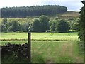 View westward from near Clova Home Farm in AB54 4JY