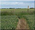 Public footpath to Ragdale Hall in LE14 3EB