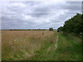 Footpath to Cambourne in CB23 6NS