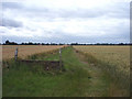 Bridleway near Maxey in PE6 9EP