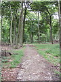 Chiltern Way in Park Wood near Maidensgrove in RG9 6EZ