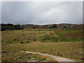 Beinn a' Chait from Track in IV2 6TY