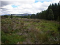 Forest Clearing with Allt a' Chaib-reidh in IV2 6YP