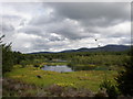 Loch Ruairidh from Forest Edge in IV2 6YP