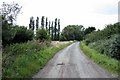 Quiet Country road in Hougham