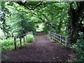 Footbridge over stream in NG16 1AE