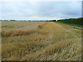 Start of the barley harvest in PE37 8EG